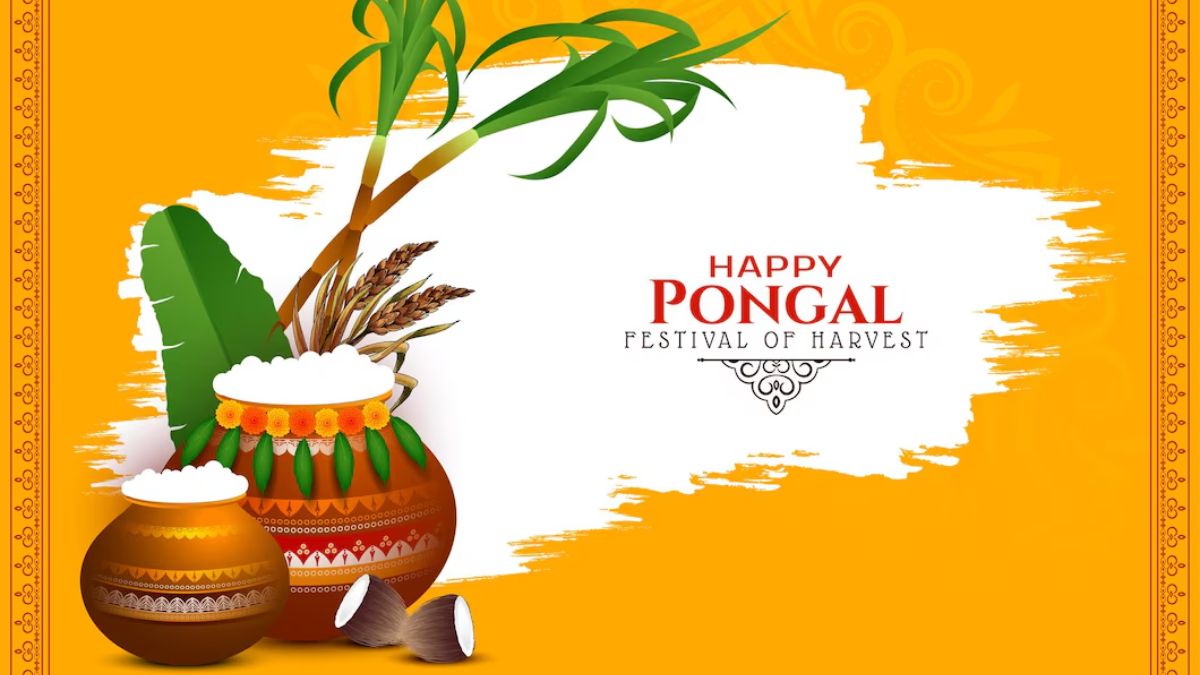 Pongal 2025: What is Surya Pongal? Know why it is celebrated on second day of the four-day festival