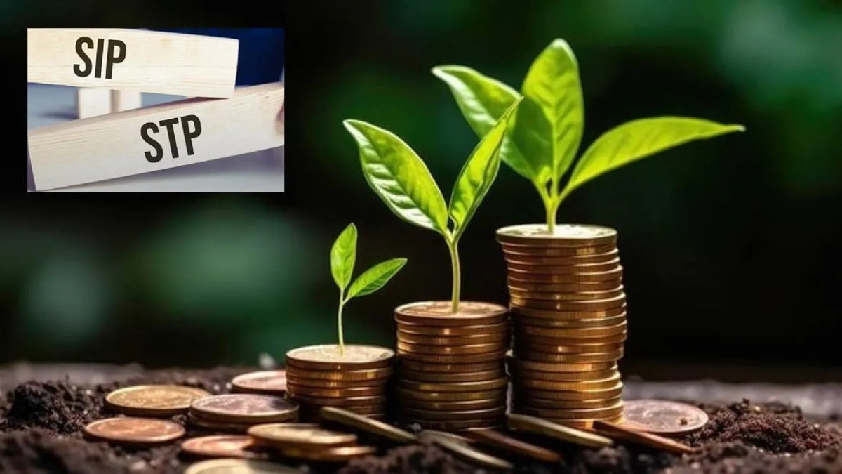 SIP or STP: Which mutual fund investment option is best for you? | Know here