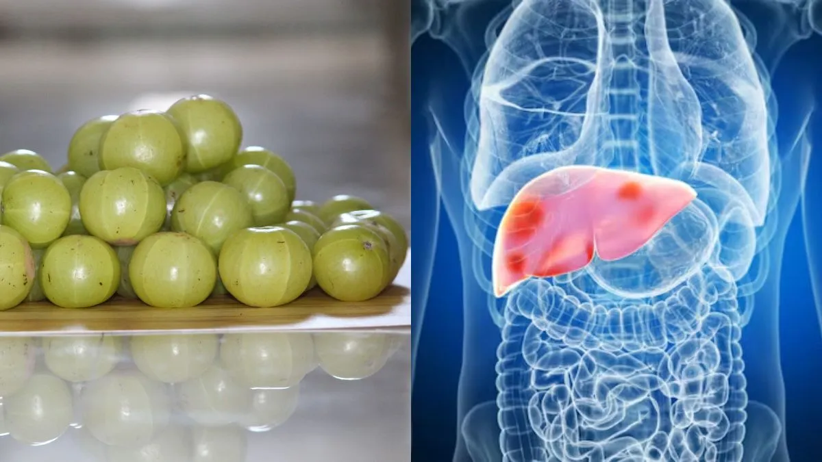 Know how amla can be beneficial for your liver health