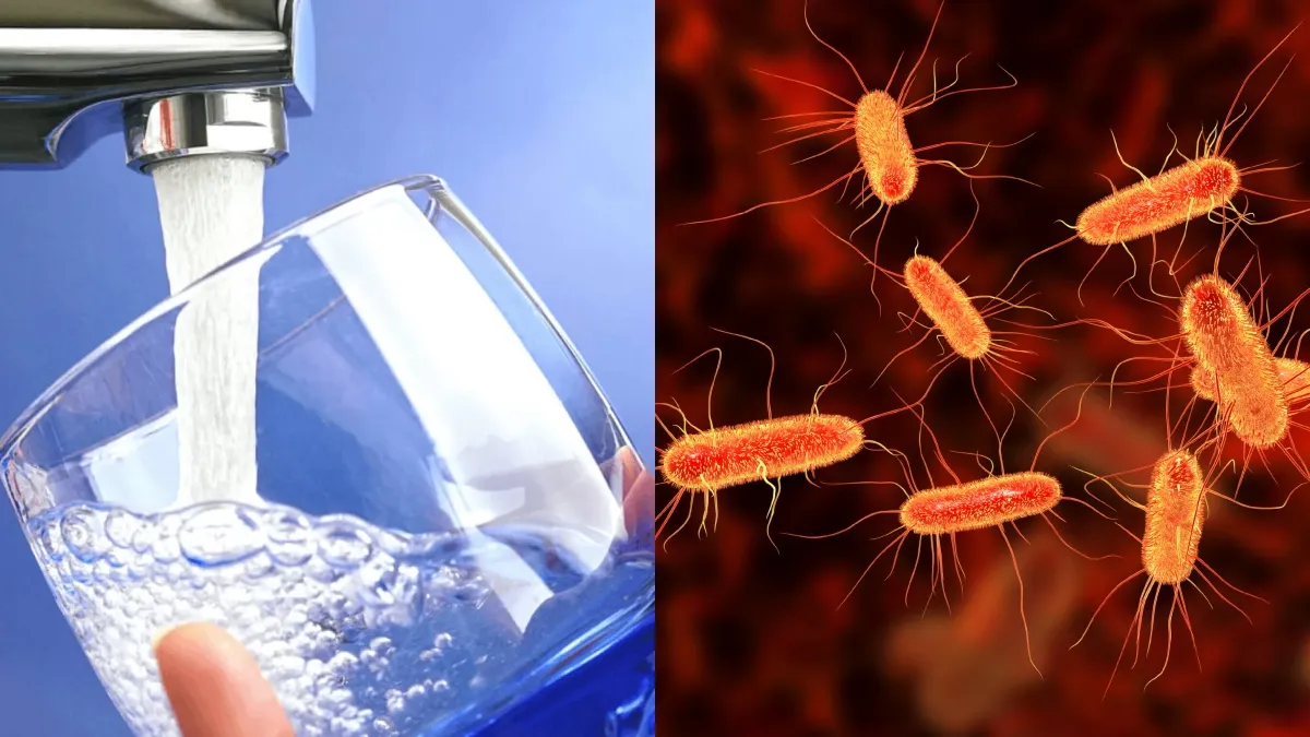 Over 400 people suddenly fall sick at Greater Noida