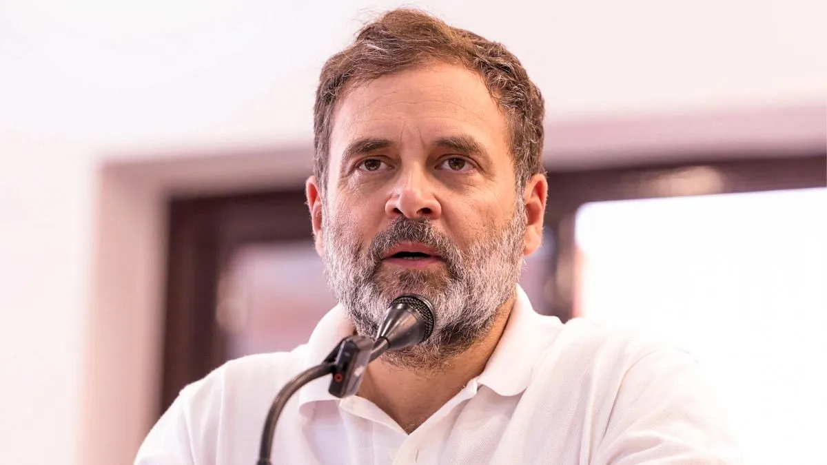 Allahabad HC disposes of plea seeking cancellation of Rahul Gandhi's  citizenship, directs Centre to take final decision | India News – India TV