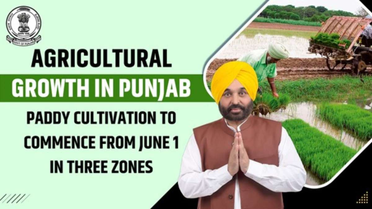 Agricultural growth in Punjab: Paddy cultivation to commence from June 1 in three zones