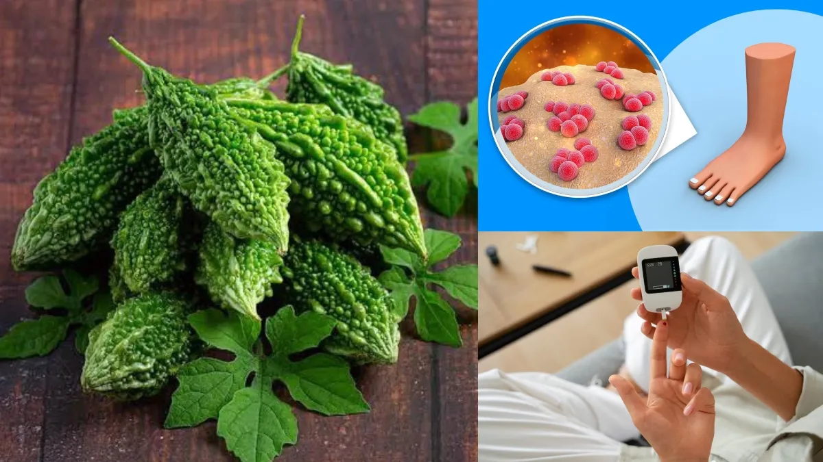 Bitter gourd is beneficial in controlling uric acid and diabetes.