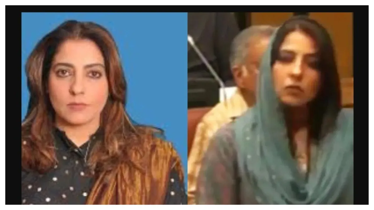 Pakistani Senator Palwasha Mohammad Zai Khan