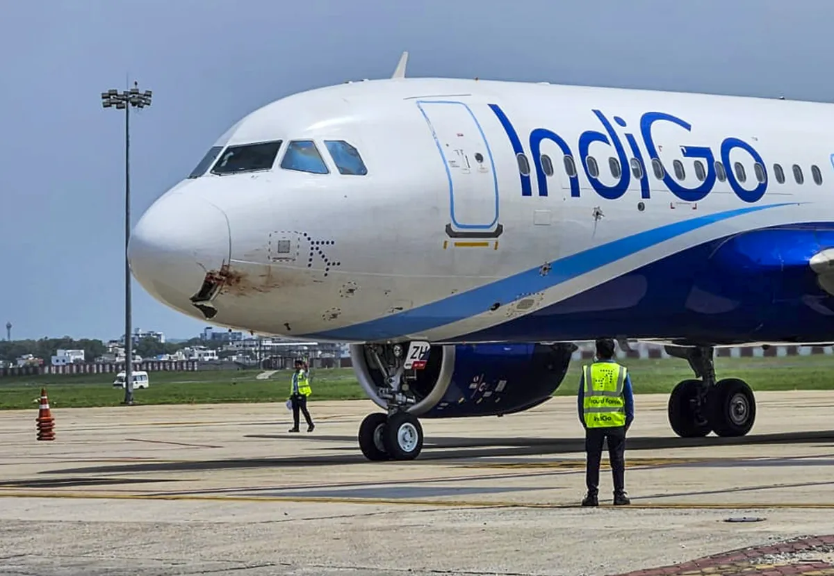 Ranchi-bound IndiGo flight makes emergency landing after suffering bird hit 