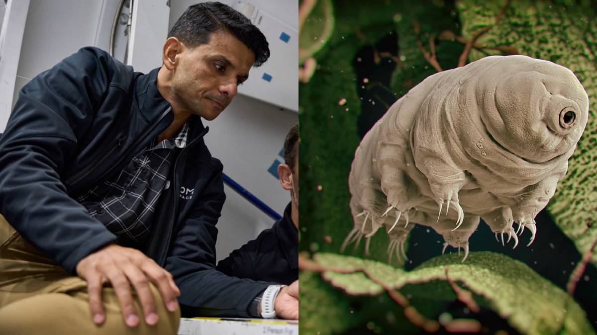 Indian astronaut Shubhanshu Shukla to take Tardigrades to ISS: What is it and why ISRO wants to study them