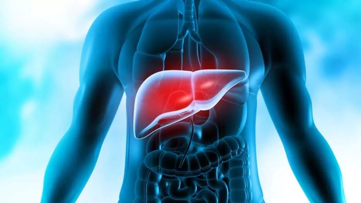 Doctor reveals warning signs and symptoms of liver damage, know foods to avoid