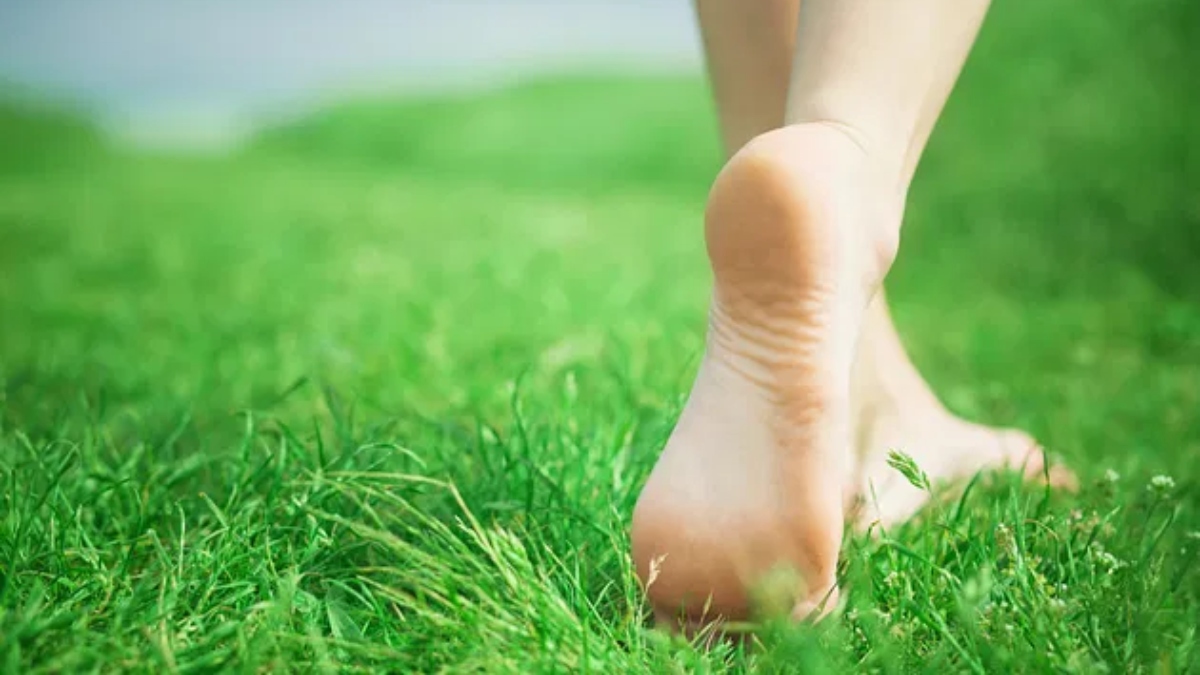 5 surprising health benefits of walking barefoot on grass in morning
