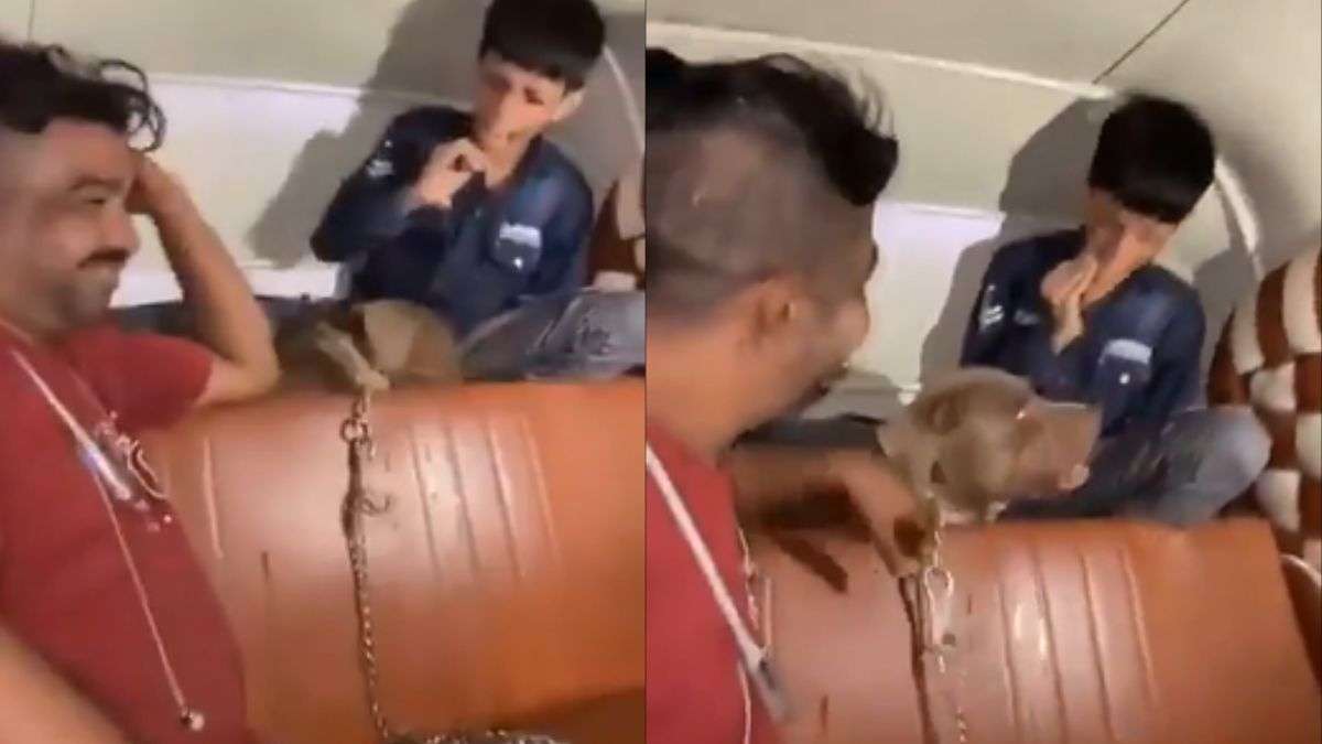 Video: Man watches and laughs as his pet pit bull bites child inside auto- rickshaw in Mumbai | Video News – India TV