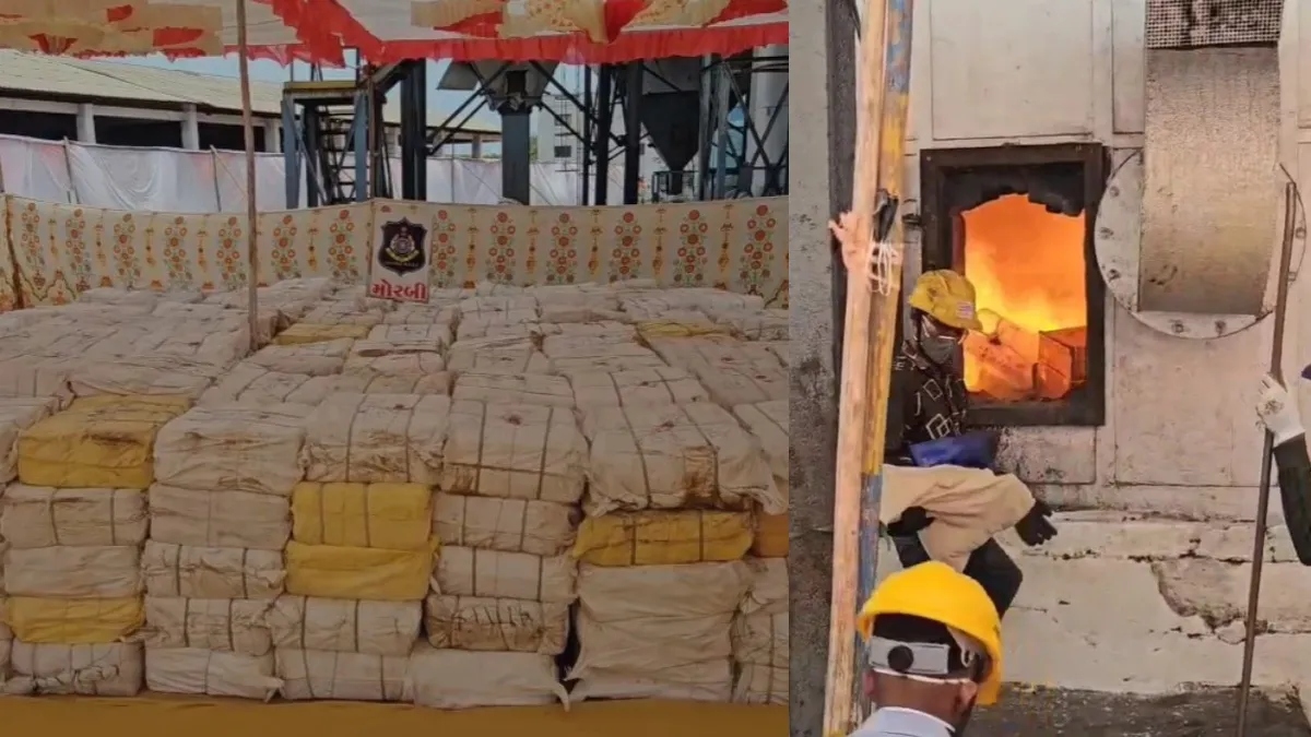 Gujarat destroys Rs 875 crore worth of narcotics in Bhachau in presence of minister Harsh Sanghavi