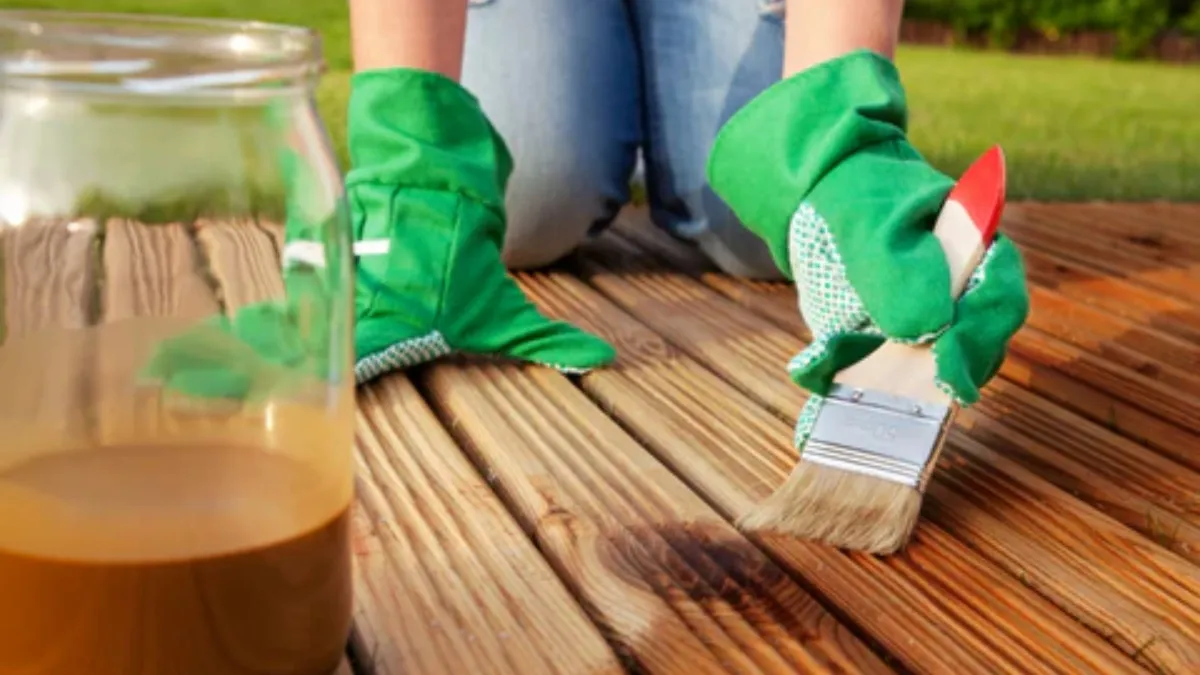 DIY hacks to protect your furniture from fungus