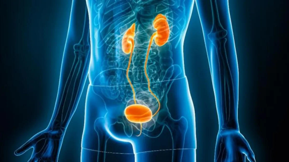 Bladder Cancer in India: How early detection and multidisciplinary ...