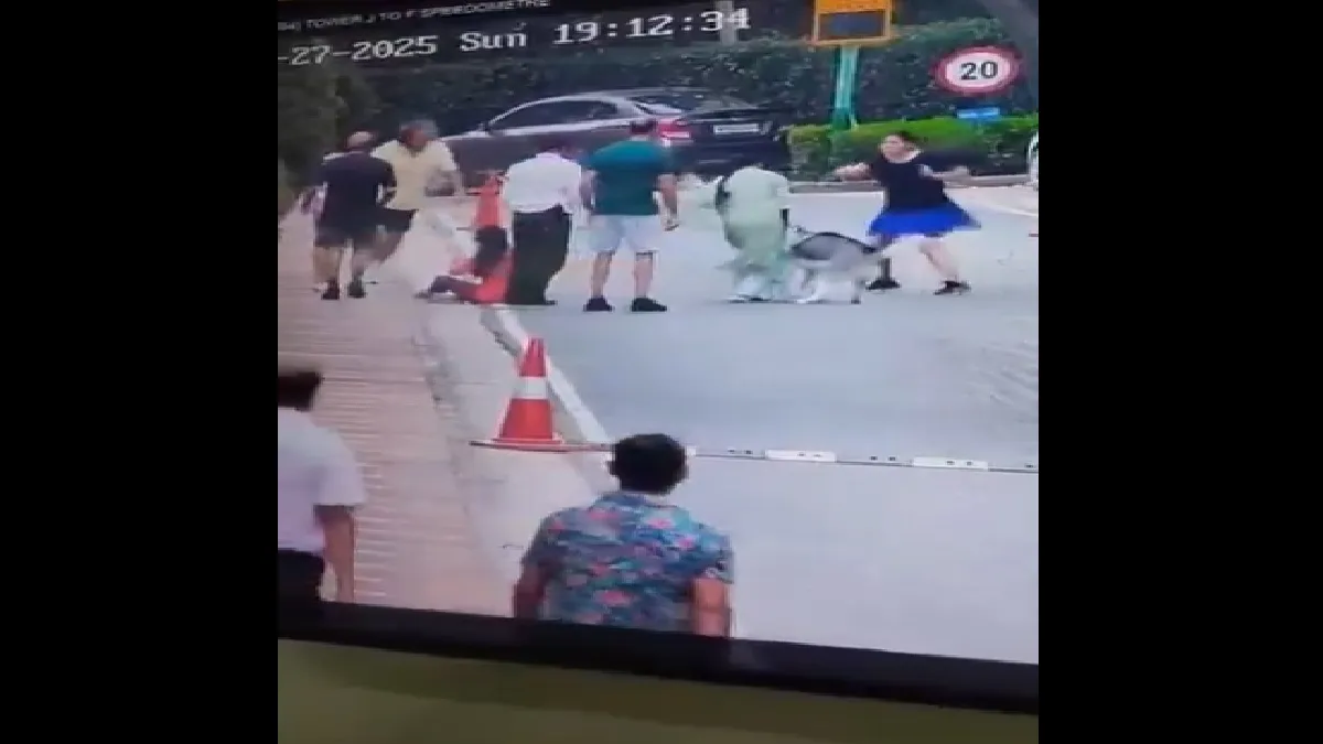 A screengrab of the viral CCTV footage