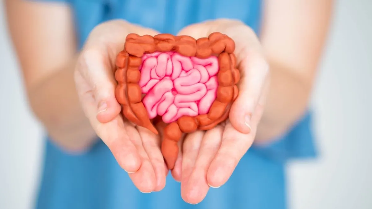 Why gut health impacts everything; from mood to metabolism