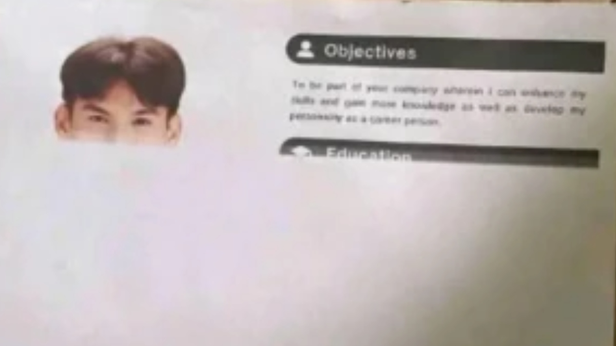 Half printed resume with hilarious - Job Application 1752138004 