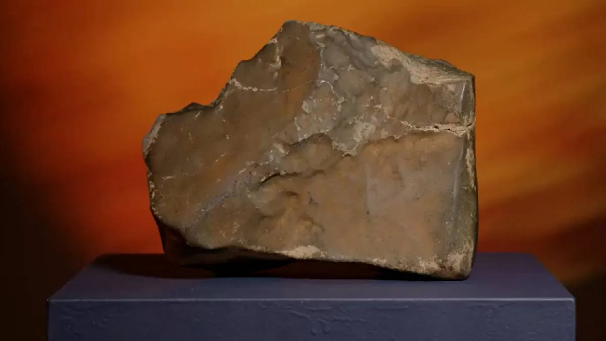 Largest Martian meteorite on Earth to be auctioned 