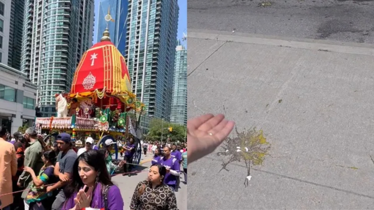 India strongly condemns egg attack on Rath Yatra in Toronto, demands action from Canada