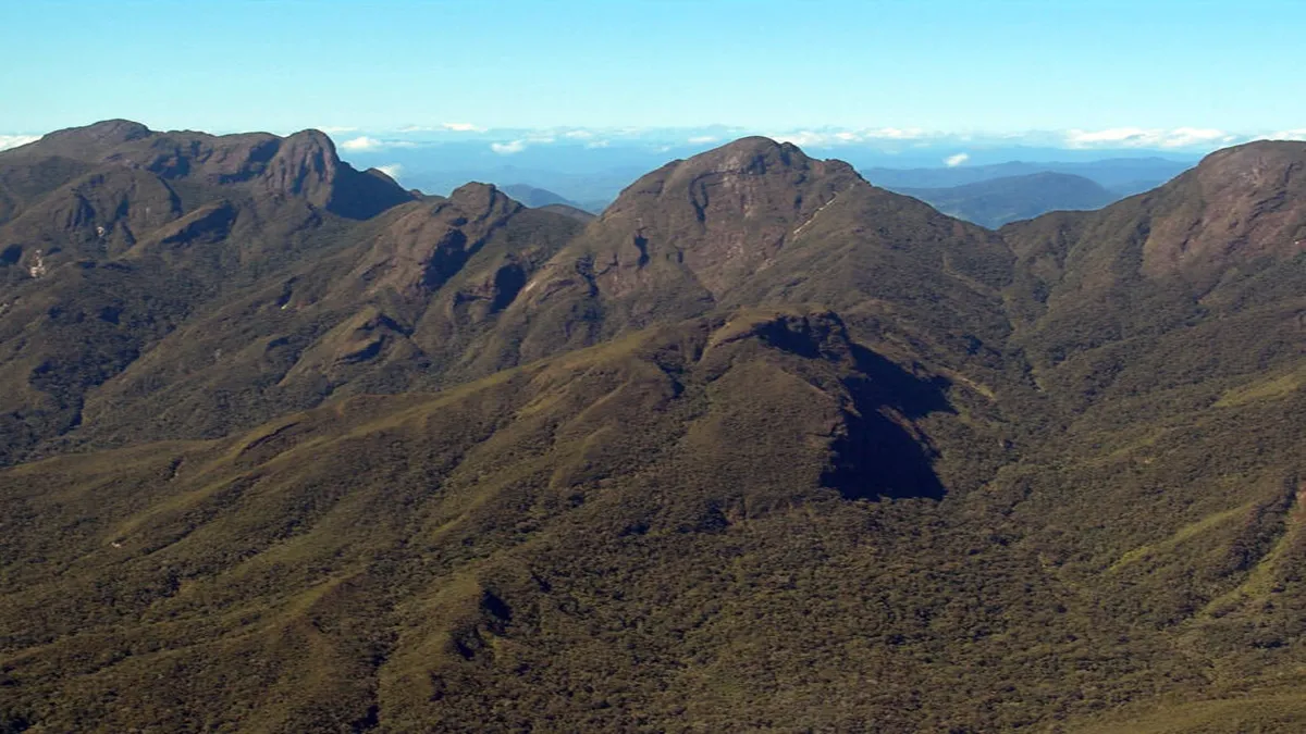 Rainforests of the Atsinanana in Madagascar. 