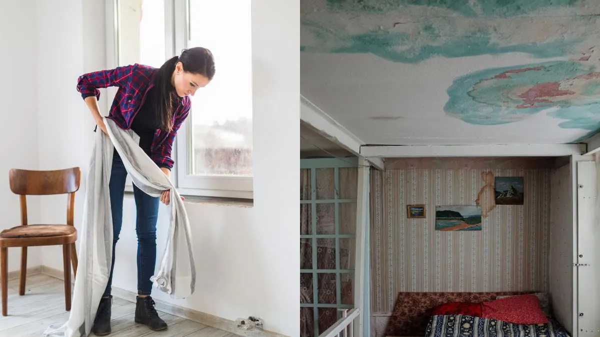 Dampness at home is more than just an eyesore – it can damage walls, weaken structures, and even affect your health