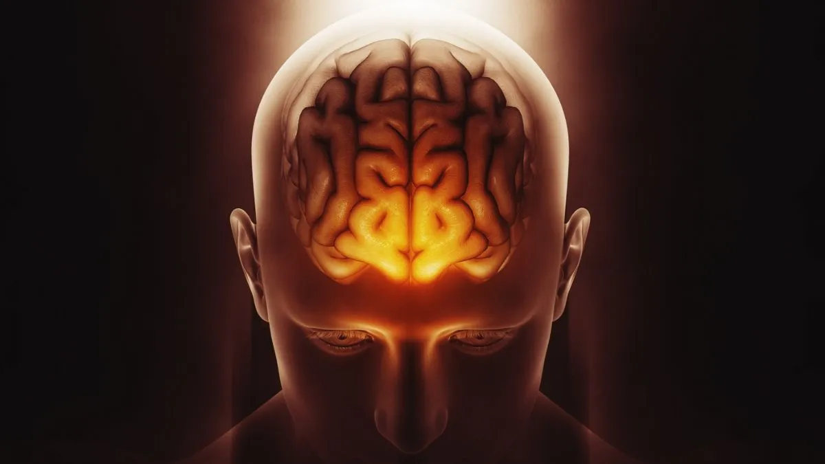 Naps can help boost memory, task performance