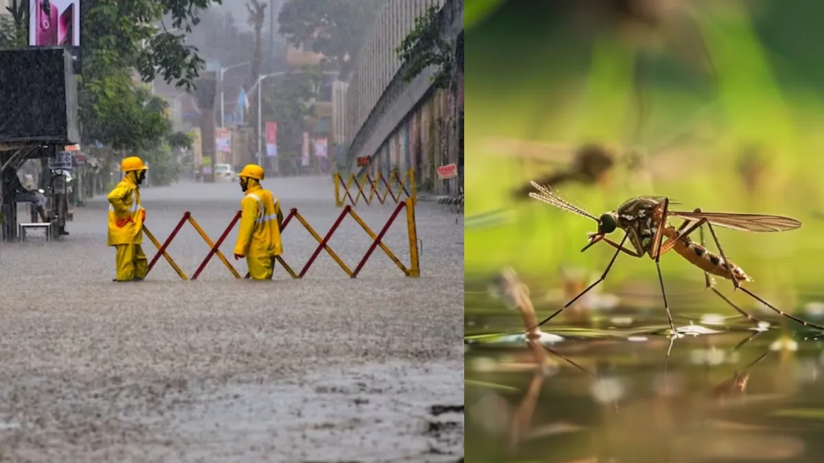 Heavy Mumbai rains increase the risk of flooding, mosquito breeding, and waterborne infections like cholera and dengue. Mumbai rains cause flooding on streets while officials warn about rising mosquito-borne diseases