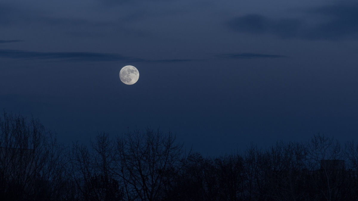 Sturgeon Moon 2025: When and where to watch August’s rare full moon and planet show