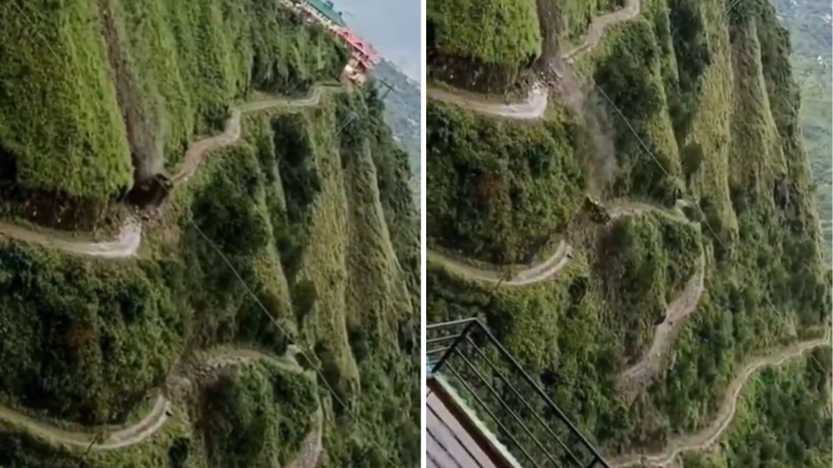 Himachal Pradesh: Bulldozer falls 300 metres into gorge in Shimla; driver dead | Watch horrifying video