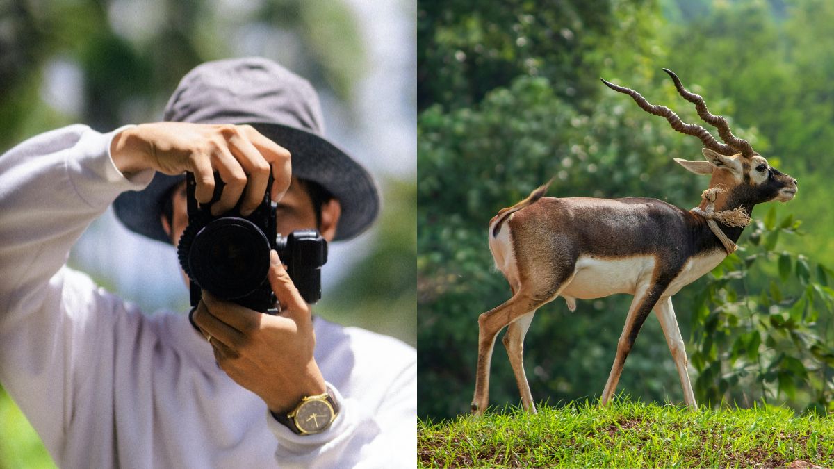 Underrated wildlife sanctuaries in India Gen Z must visit for