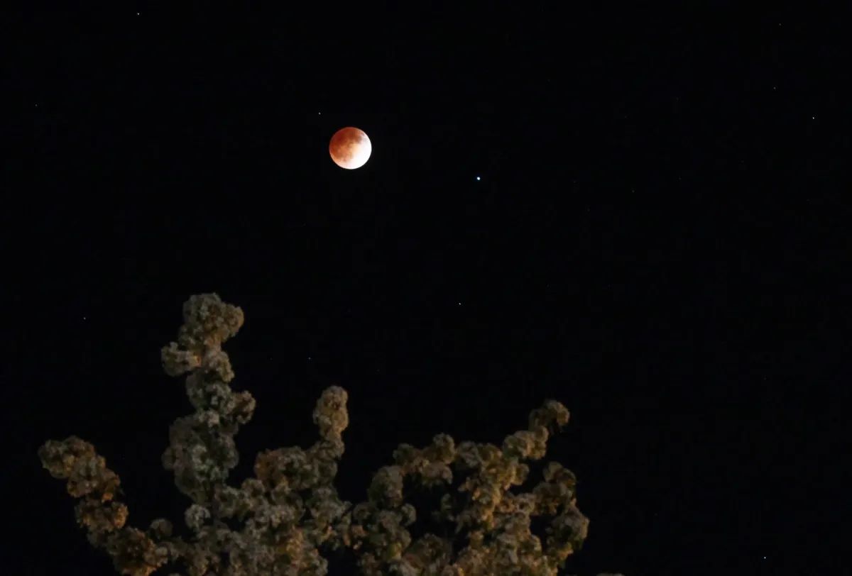 Lunar eclipse