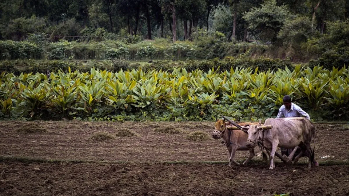 The PM-KISAN scheme was launched by the Government of India in December 2019.