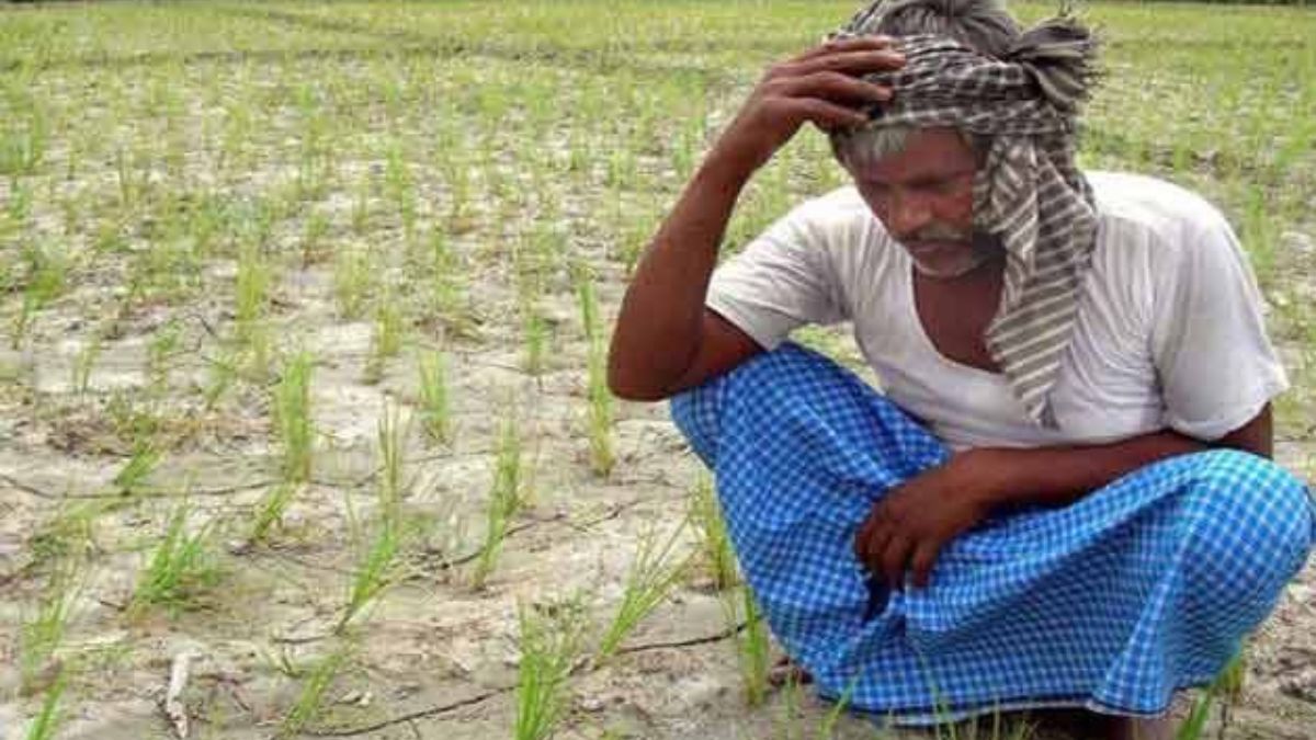 Over 10,700 farmers died by suicide in 2023; 38% of total cases reported  from Maharashtra: NCRB | India News – India TV