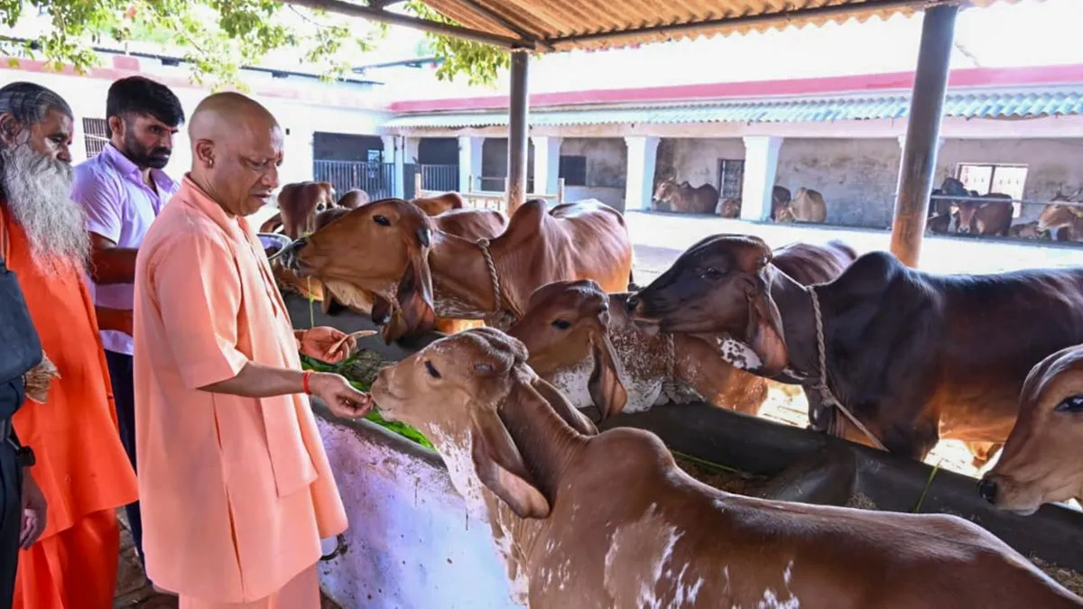 UP CM Yogi Adityanath extends greetings on Govardhan Puja: 'Symbol of ...