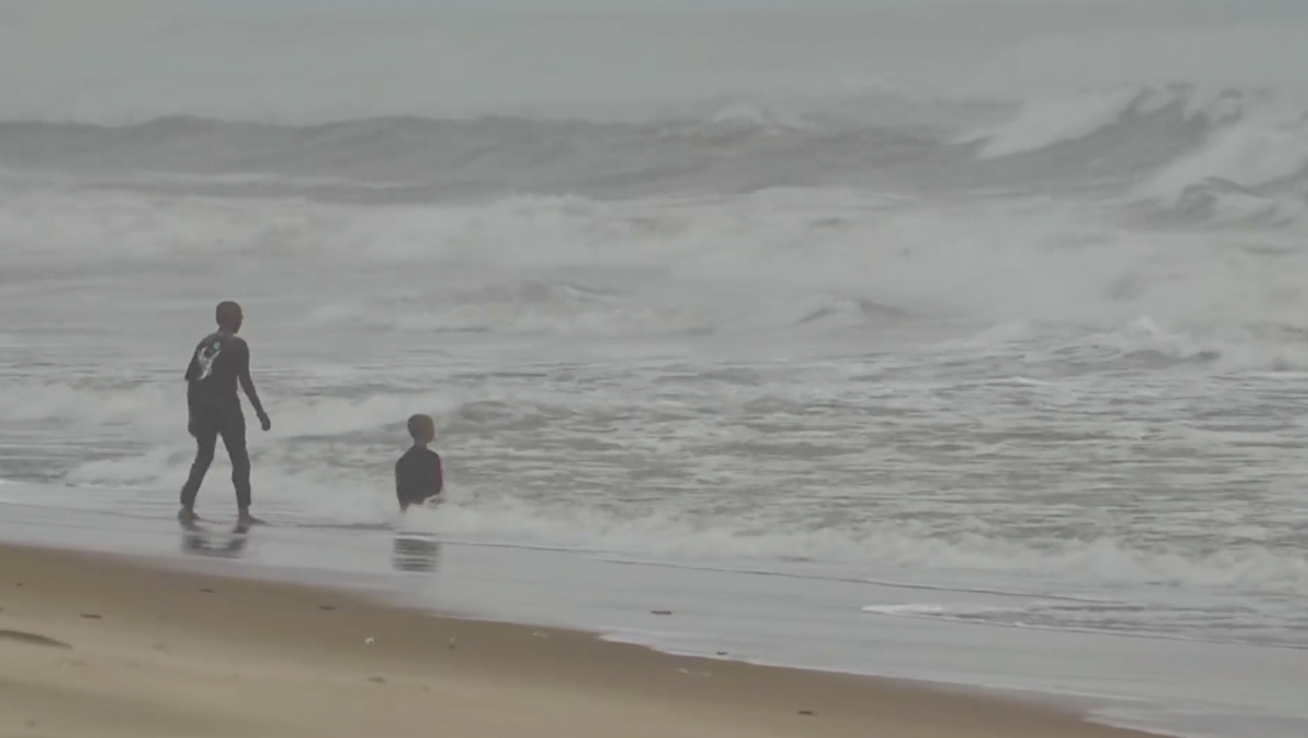 Cyclone Ditwah: Three killed in rain-related incidents in Tamil Nadu; 57,000 hectares of farmland affected