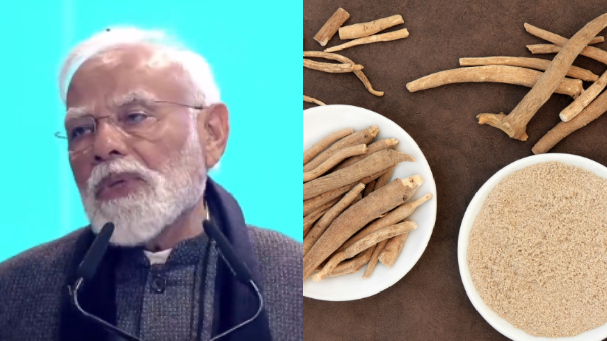 Ayush mark, Yoga to digital portals: PM Modi’s big announcements at WHO Global Summit