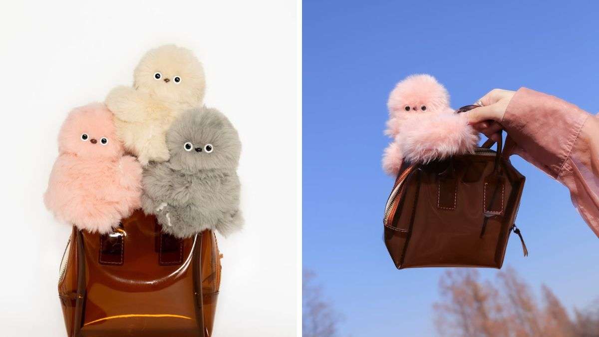 Mirumi dolls price and features | Internet’s new collectible obsession