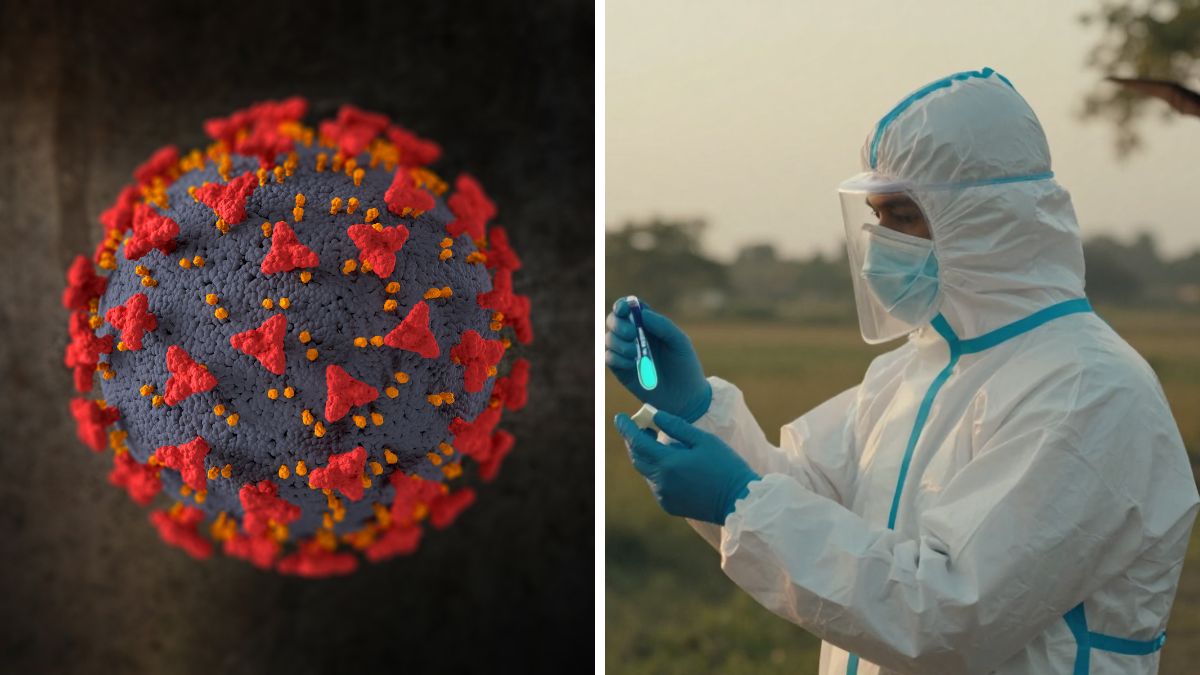 Nipah Virus Outbreak in India: Symptoms and Prevention
