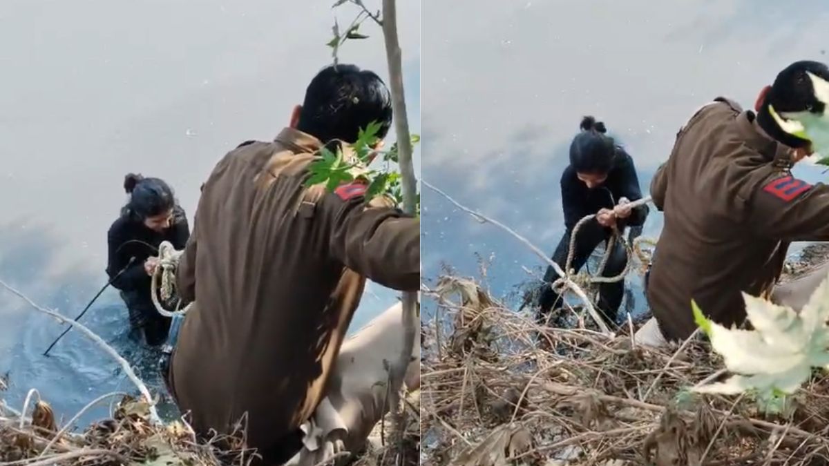 Reel gone wrong: Delhi woman falls into drain while filming video, rescued by police | VIDEO