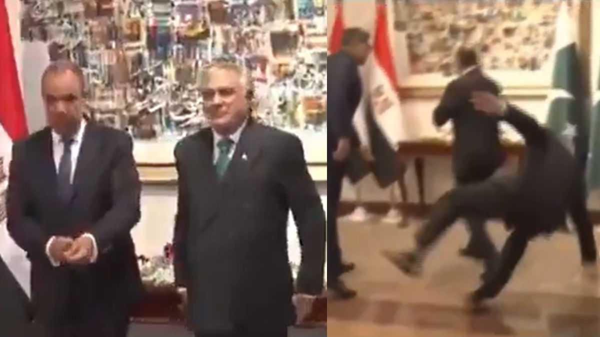 Pakistan Deputy PM Ishaq Dar stumbles during welcome ceremony for Egyptian Foreign Minister | Video