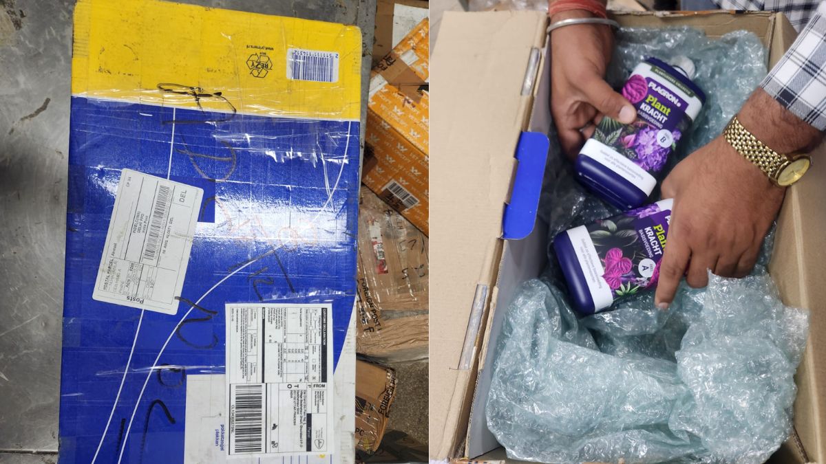 NCB busts pan-India darknet drug network team 'Kalki', seizes LSD, MDMA, liquid MDMA, Cannabis