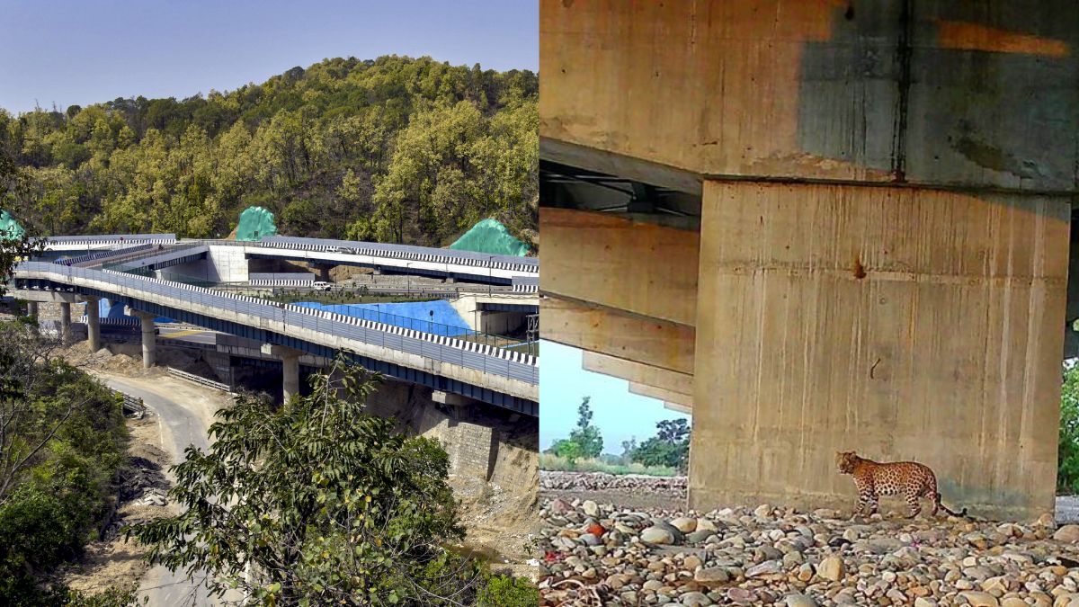 Delhi to Dehradun in 2.5 hours: Check key features of Delhi-Dehradun economic corridor, toll charges