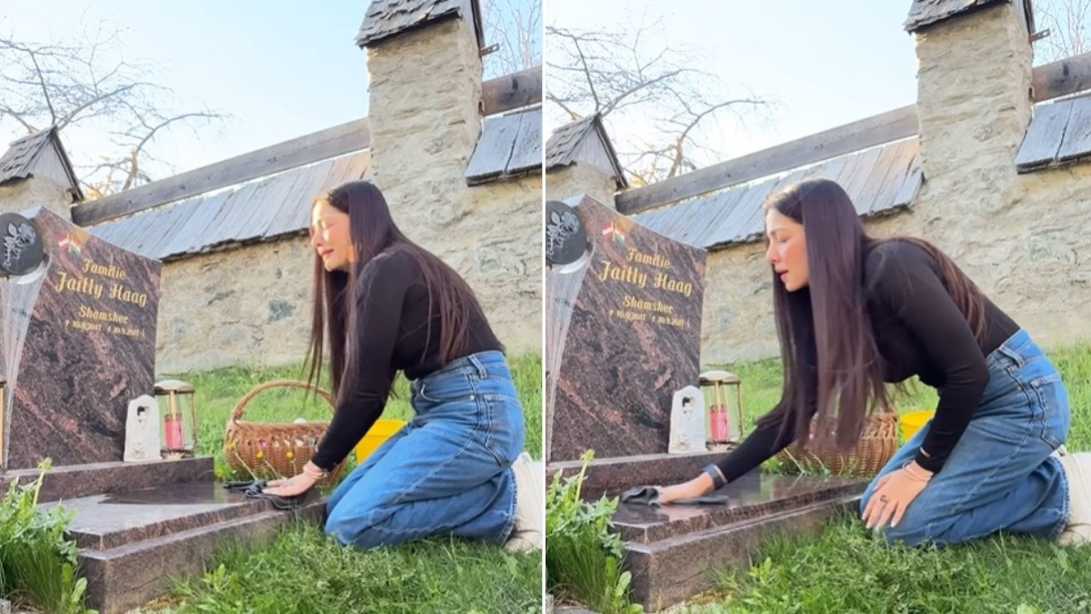 Celina Jaitly breaks down at late son's grave amid divorce battle with husband Peter Haag in Austria