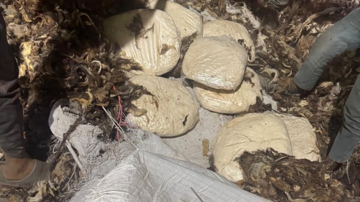 India's first Captagon bust: Everything you need to know about the 'Jihadi drug' seized by NCB