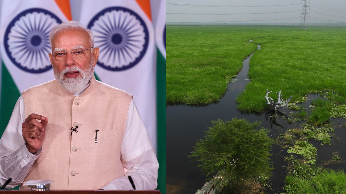 PM Modi announces Surha Tal in UP's Ballia as India's 100th Ramsar site: Here's complete list of all 100 sites