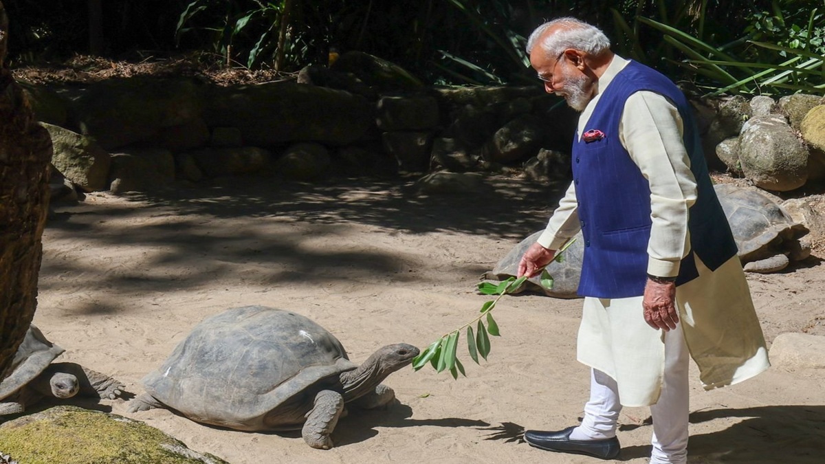 PM Modi meets Jonathan, world's oldest living land animal during visit to Seychelles