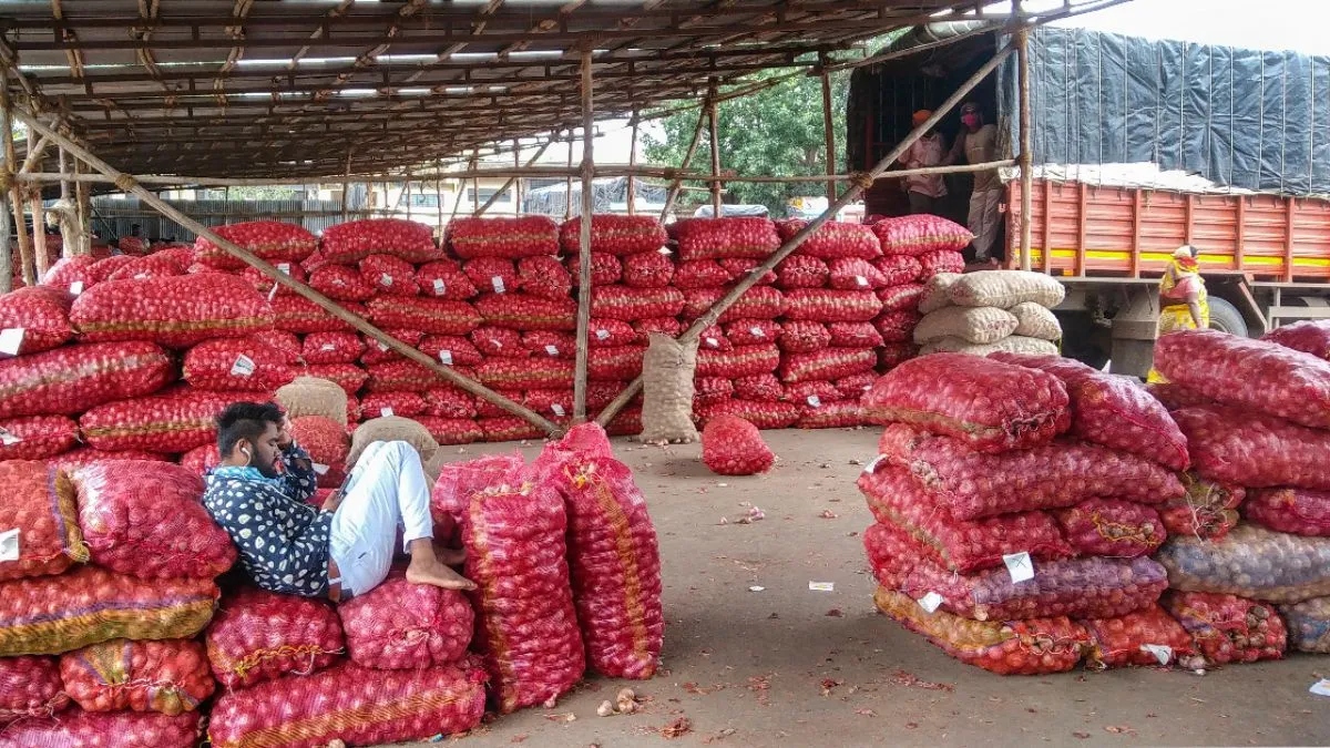 Govt hikes onion procurement price by 24%: Know how much farmers will get now