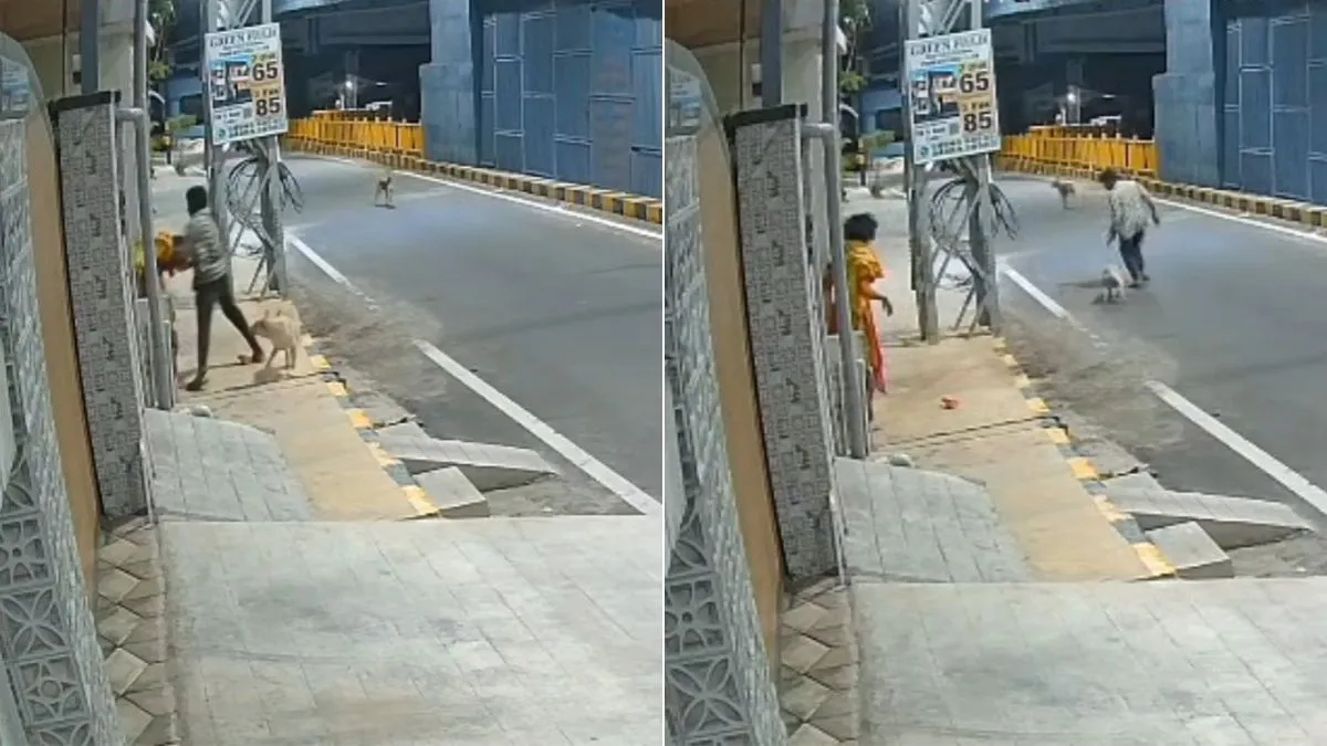 डॉग ने बचाई महिला की अस्मत! छेड़छाड़ की कोशिश कर रहे लड़के को यूं खदेड़ा, CCTV वीडियो वायरल