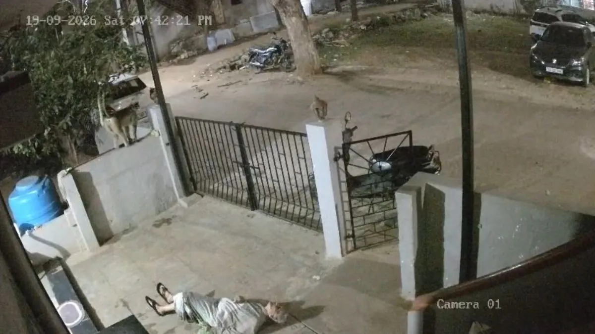 91-year-old woman dies after monkey knocks her down outside home in Karnataka, CCTV captures incident - India TV News