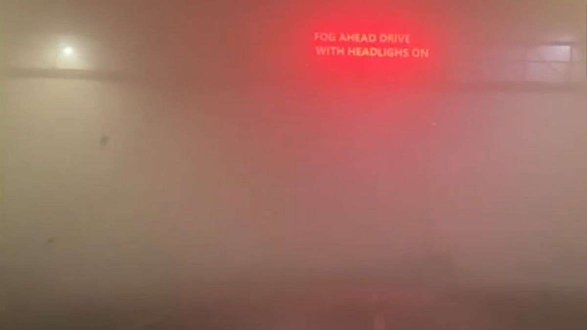 Dense Fog Disrupts Delhi Flights & Trains: Over 100 Delays, Advisories Issued