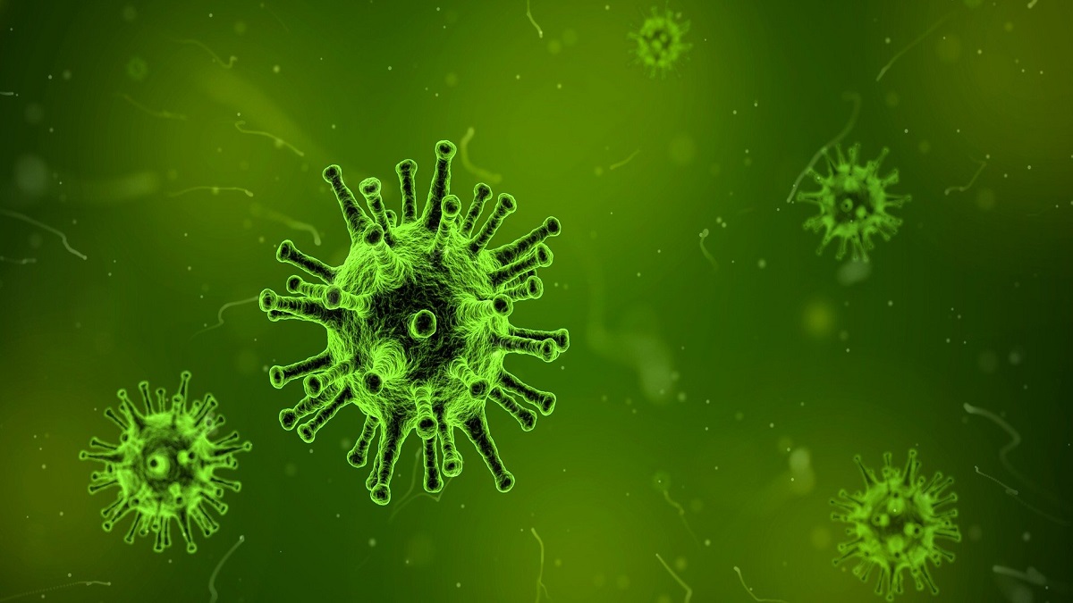 West Bengal Records First Nipah Virus Death in Recent History, 25-Year-Old Nurse Succumbs