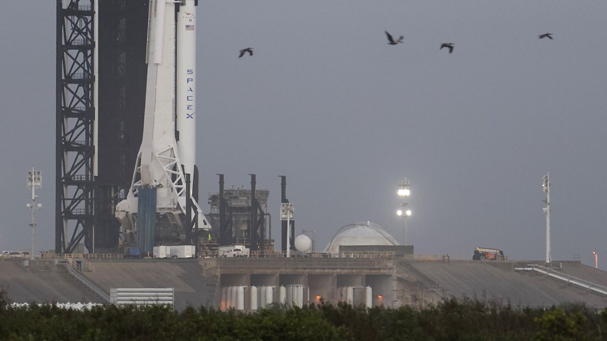 SpaceX IPO Filing Could Propel Elon Musk to Trillionaire Status, Reports Indicate